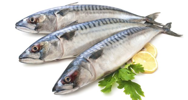 Cần làm những thủ tục gì khi công bố chất lượng thực phẩm chả cá thu?